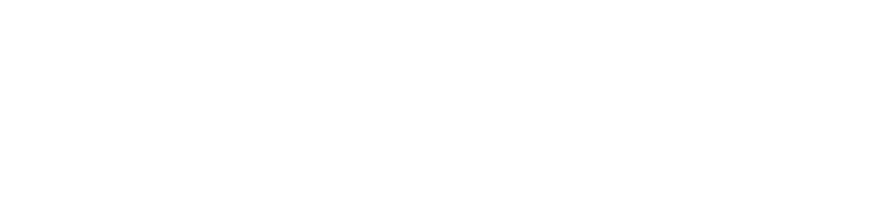 connectionzzz