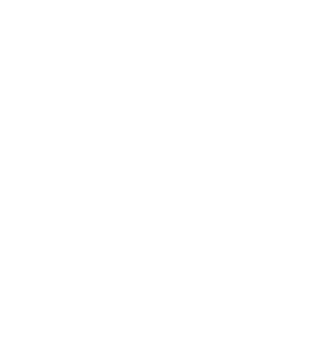 connectionzzz